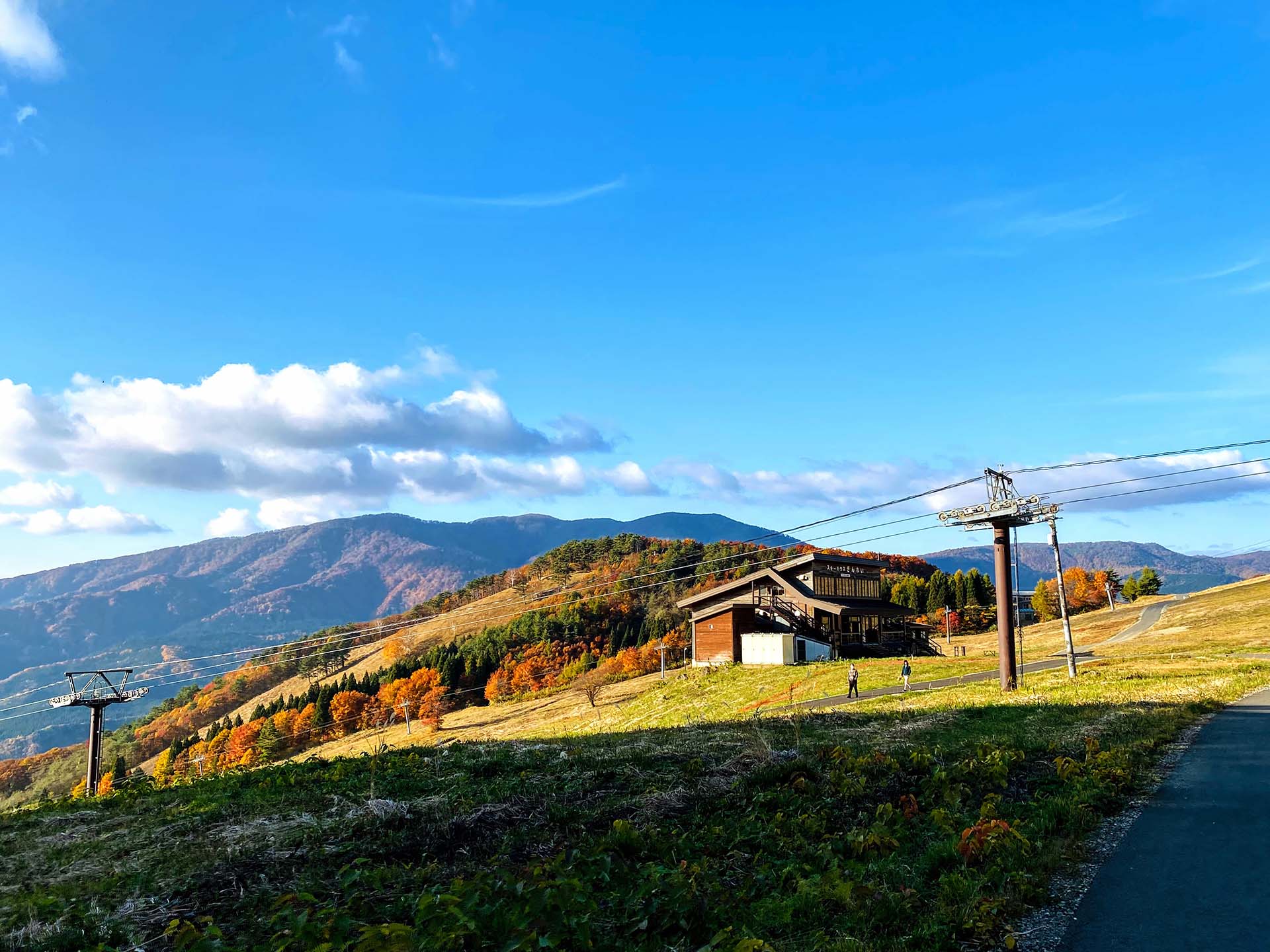 ハウス遠景